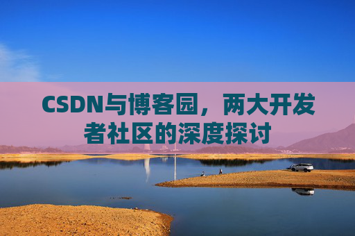 CSDN与博客园，两大开发者社区的深度探讨